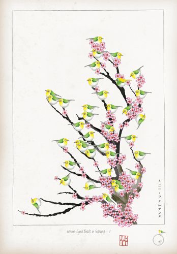 V - White Eyed Birds in Sakura  by Tony Fernandes